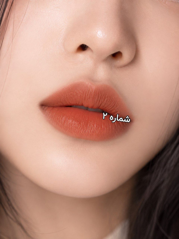 رژ لب و رژگونه دوکاره ریموکو اورجینال