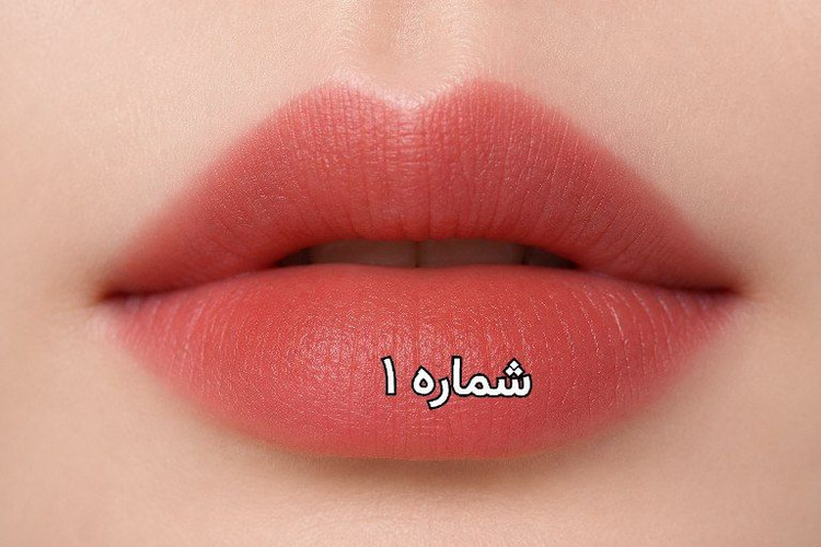 رژ لب و رژگونه دوکاره ریموکو اورجینال
