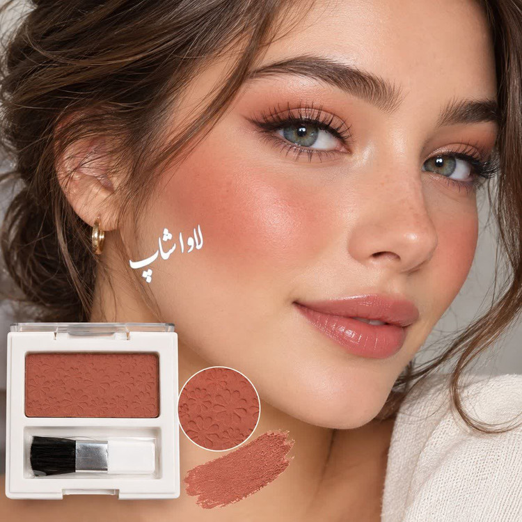 پالت رژگونه پودری برند آلستر کارتن نقره ای