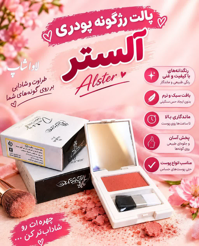 پالت رژگونه پودری برند آلستر کارتن نقره ای